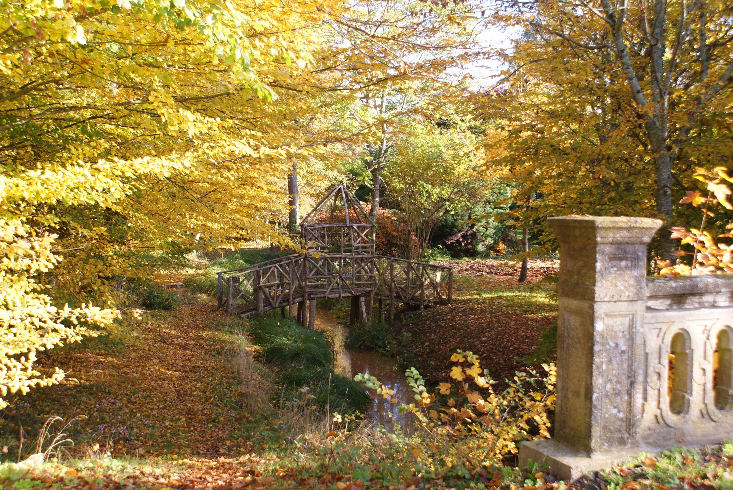 DSC05570 parcours des cabanes automne scaled